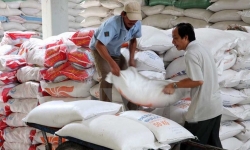 Chính phủ ‘cởi trói’ cho xuất khẩu gạo
